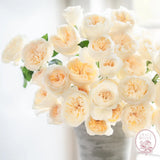 Aurora Gardens!® Bouquet CUTS