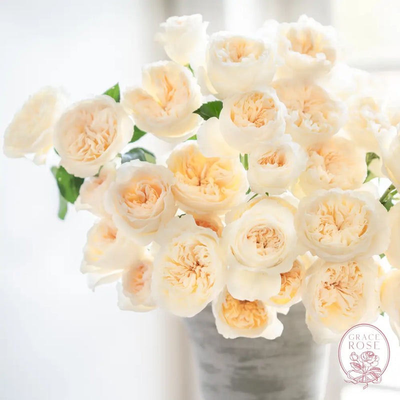 Aurora Gardens!® Bouquet CUTS