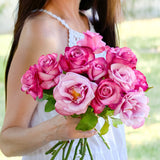 Barbra Streisand Bare Root Tree Rose