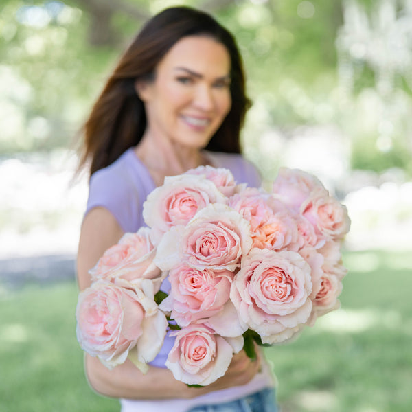 Betty White™ Potted Rose Bush