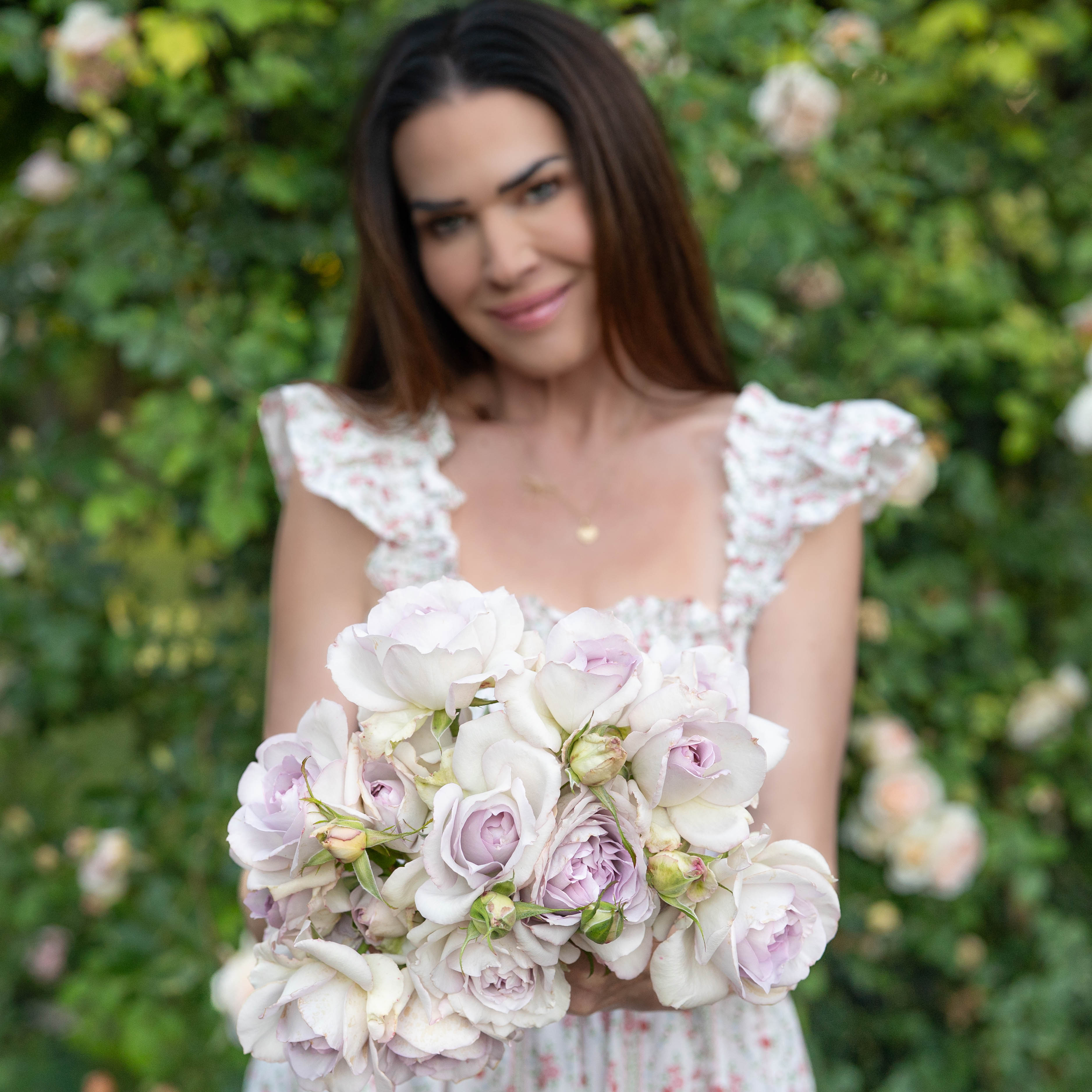 Blue Girl Bare Root Rose Bush