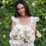 Blue Girl Potted Rose Bush