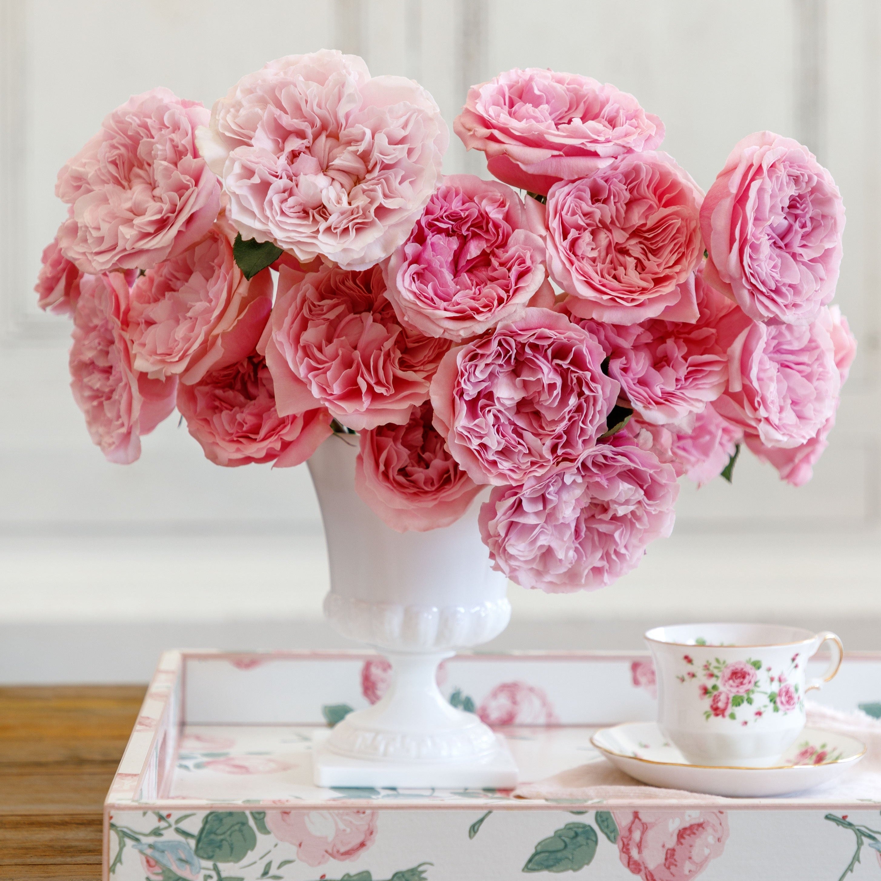 Anniversary Rose Collection | Celebrate Your Special Day | Grace