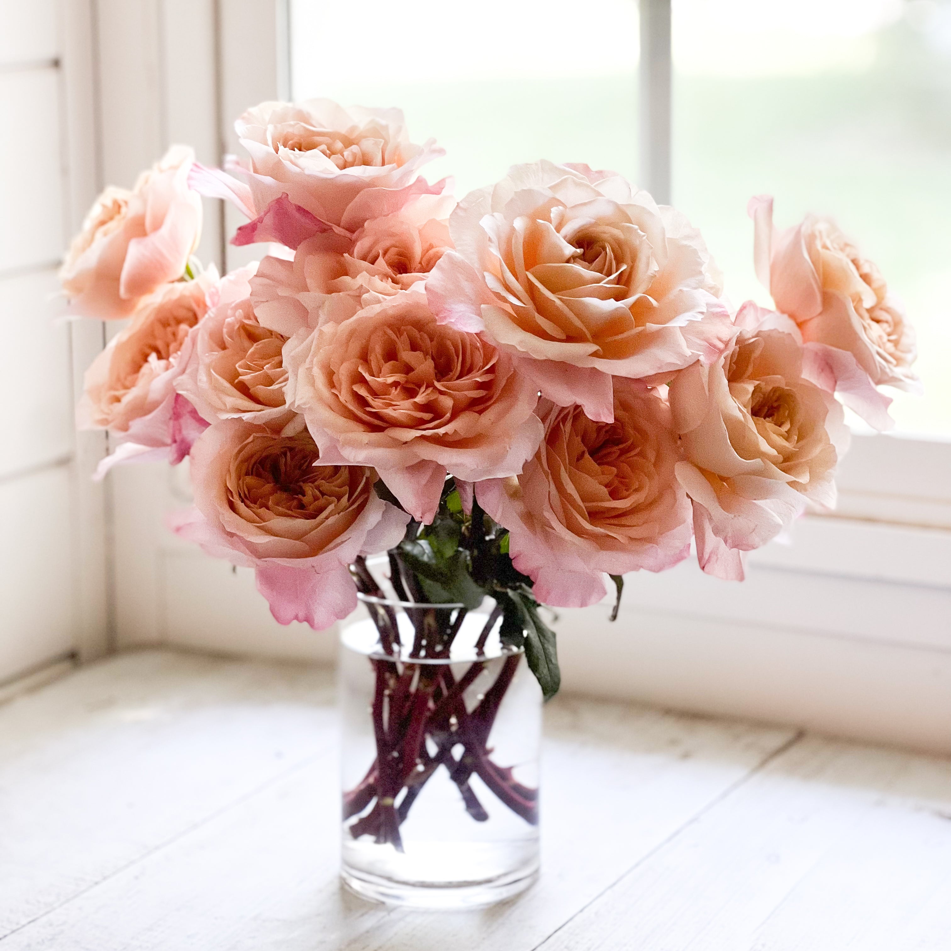 Miyabi Cha Bouquet | Brown Garden Rose Bouquet | Grace Rose Farm