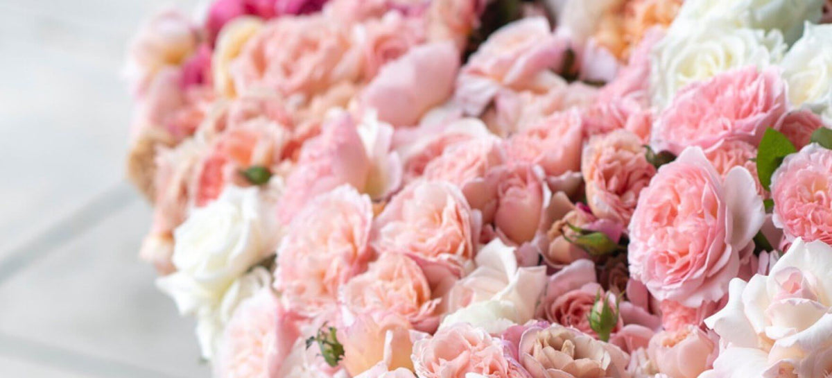 A vase of garden roses on a table