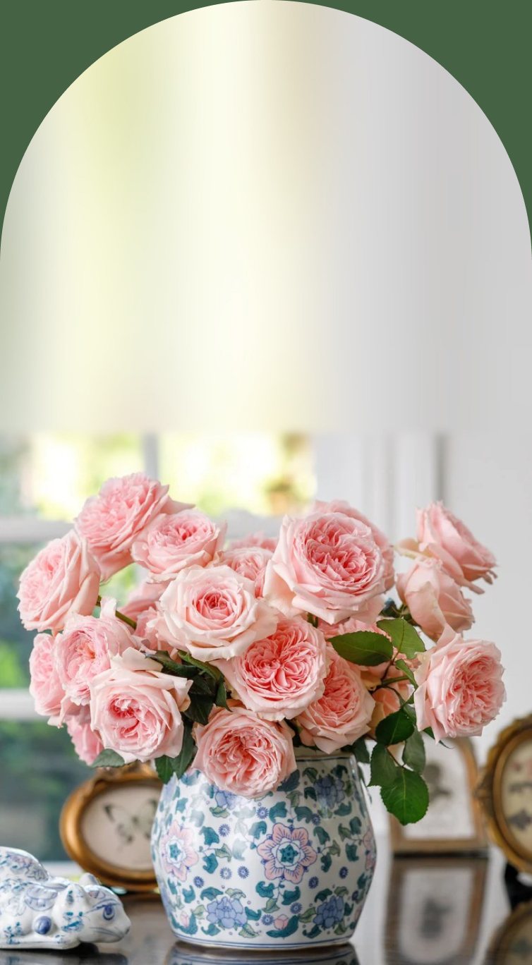 Roses grown on the farm, arranged in a vase