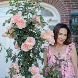 Princesse Charlene de Monaco® Bare Root Rose Bush