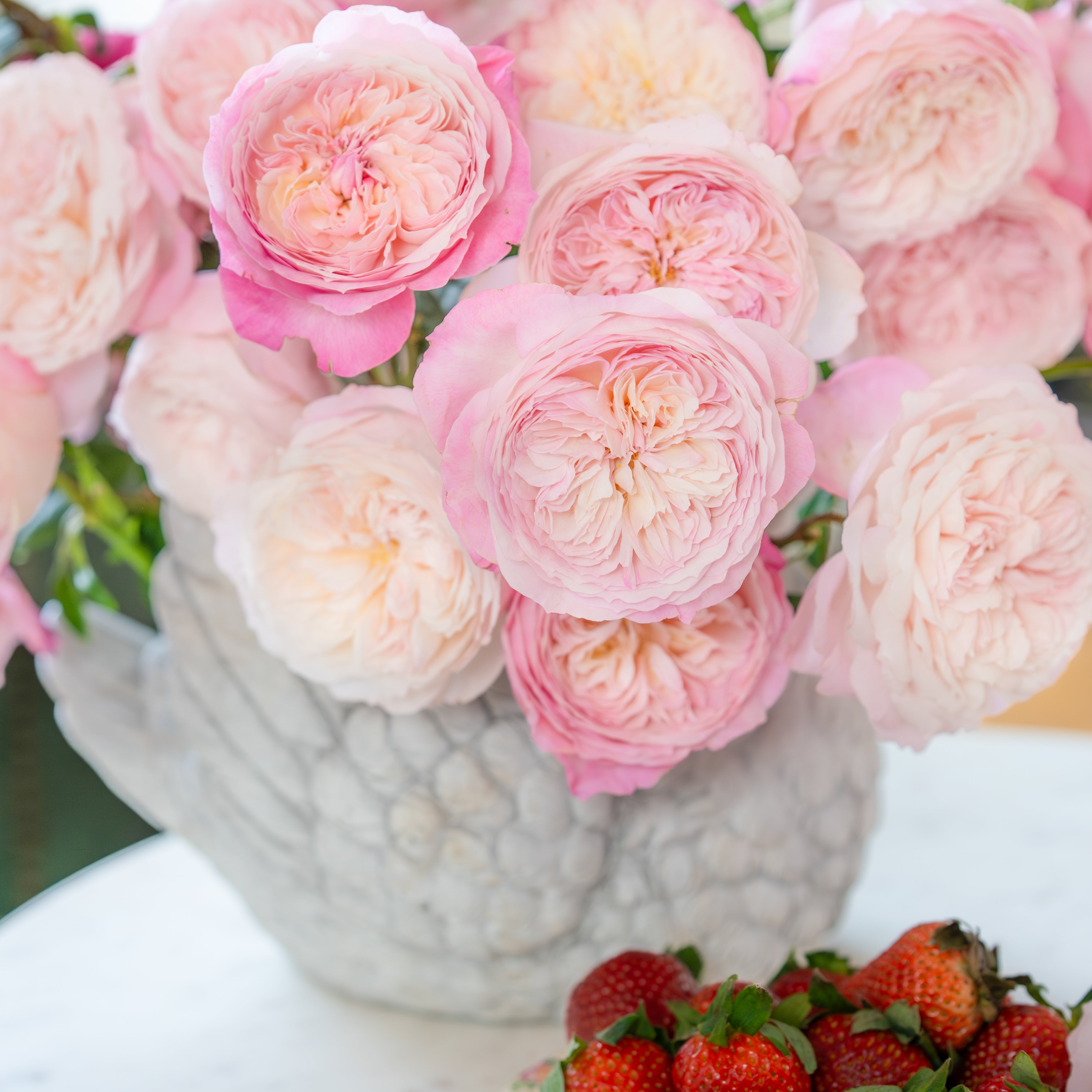 David Austin® Constance™ Valentine's Day Bouquet