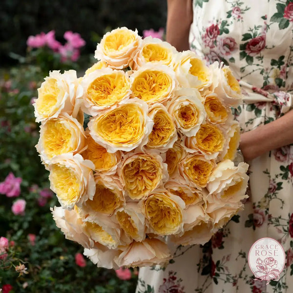 Effie™ Bouquet CUTS