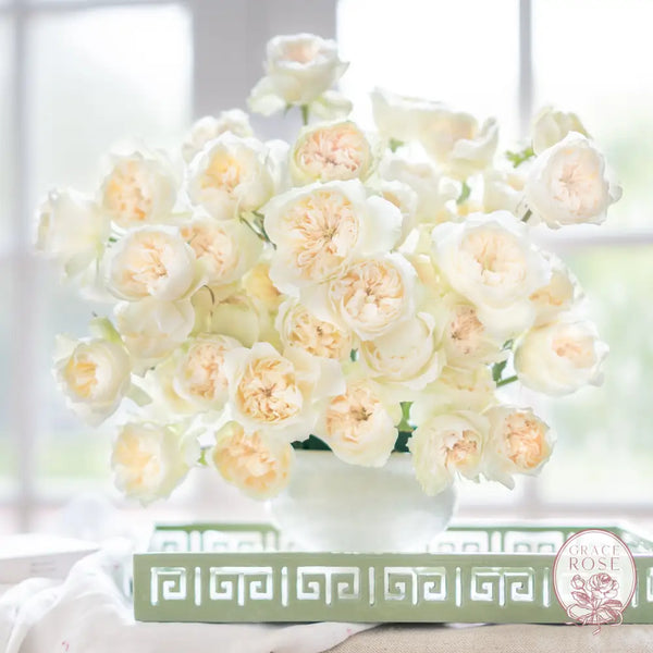 Enid™ Bouquet CUTS