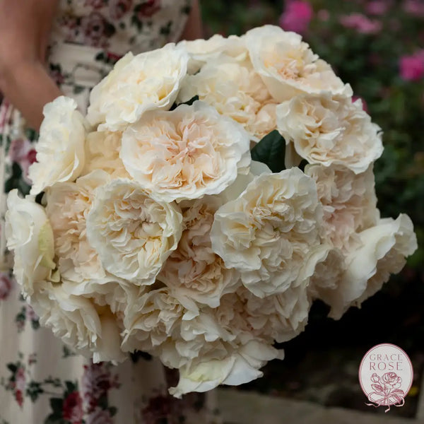 Eugenie™ Bouquet CUTS