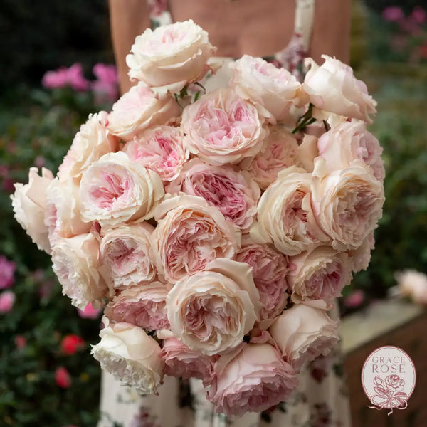 Keira™ Bouquet CUTS