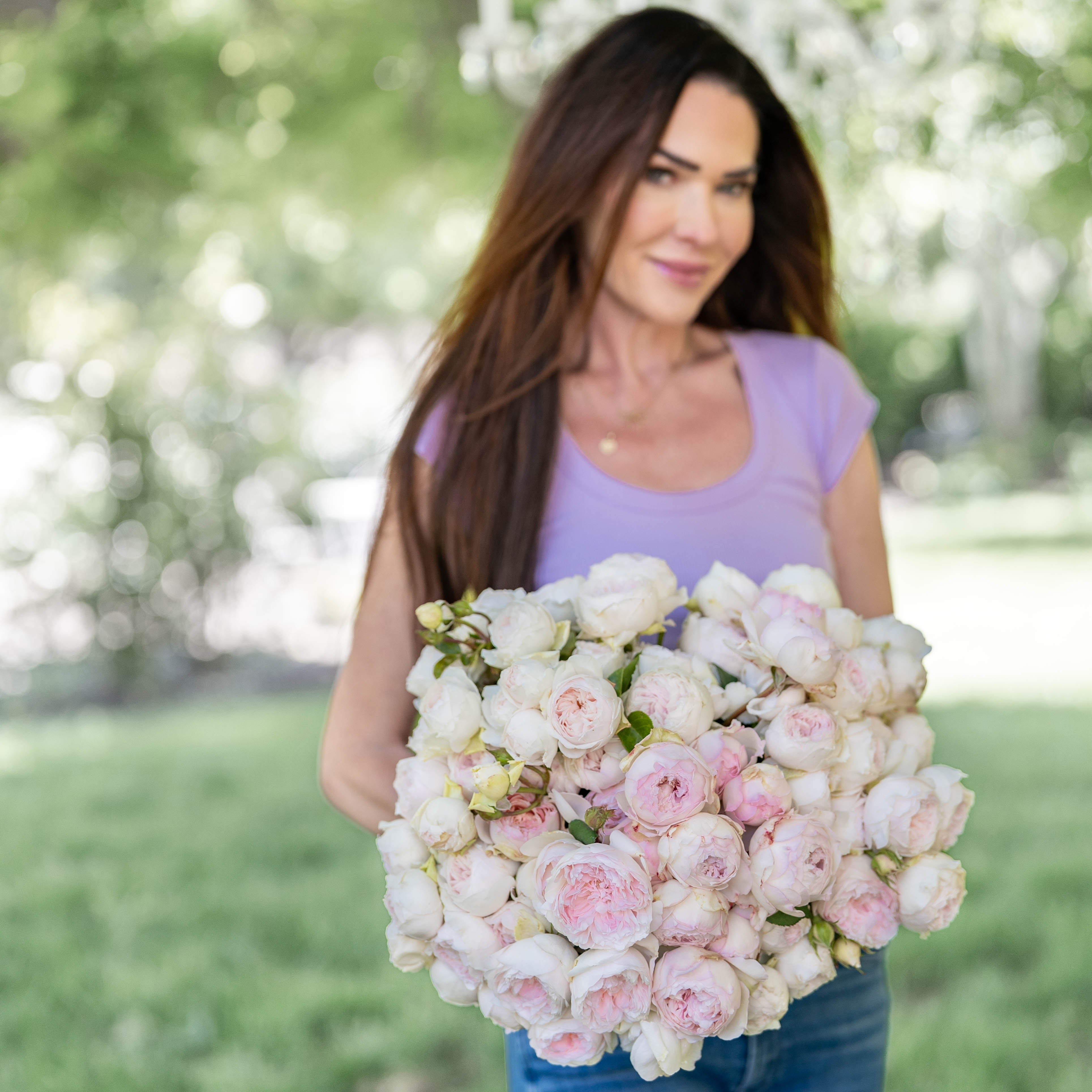 Earth Angel Potted Rose Bush | Soft Pink Fragrant Rose | Grace