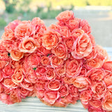 Easy Does It® Potted Rose Bush