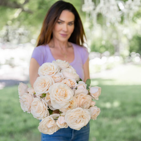 Easy Spirit™ Bare Root Rose Bush