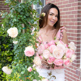 Eden Climber® Potted Climbing Rose