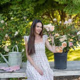 Fun in the Sun™ Bare Root Rose Bush