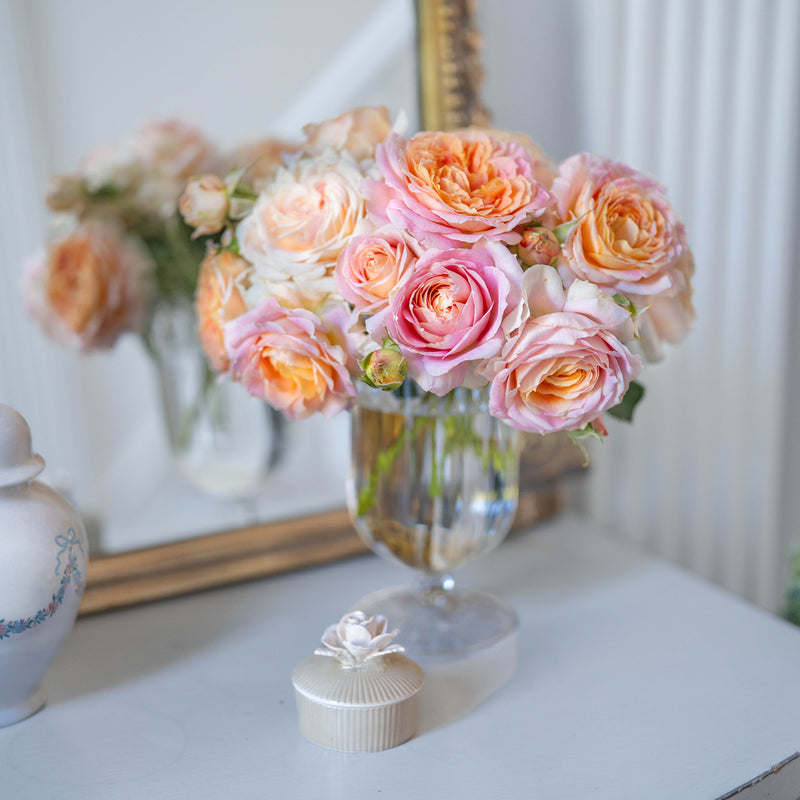 Fun in the Sun™ Bare Root Rose Bush