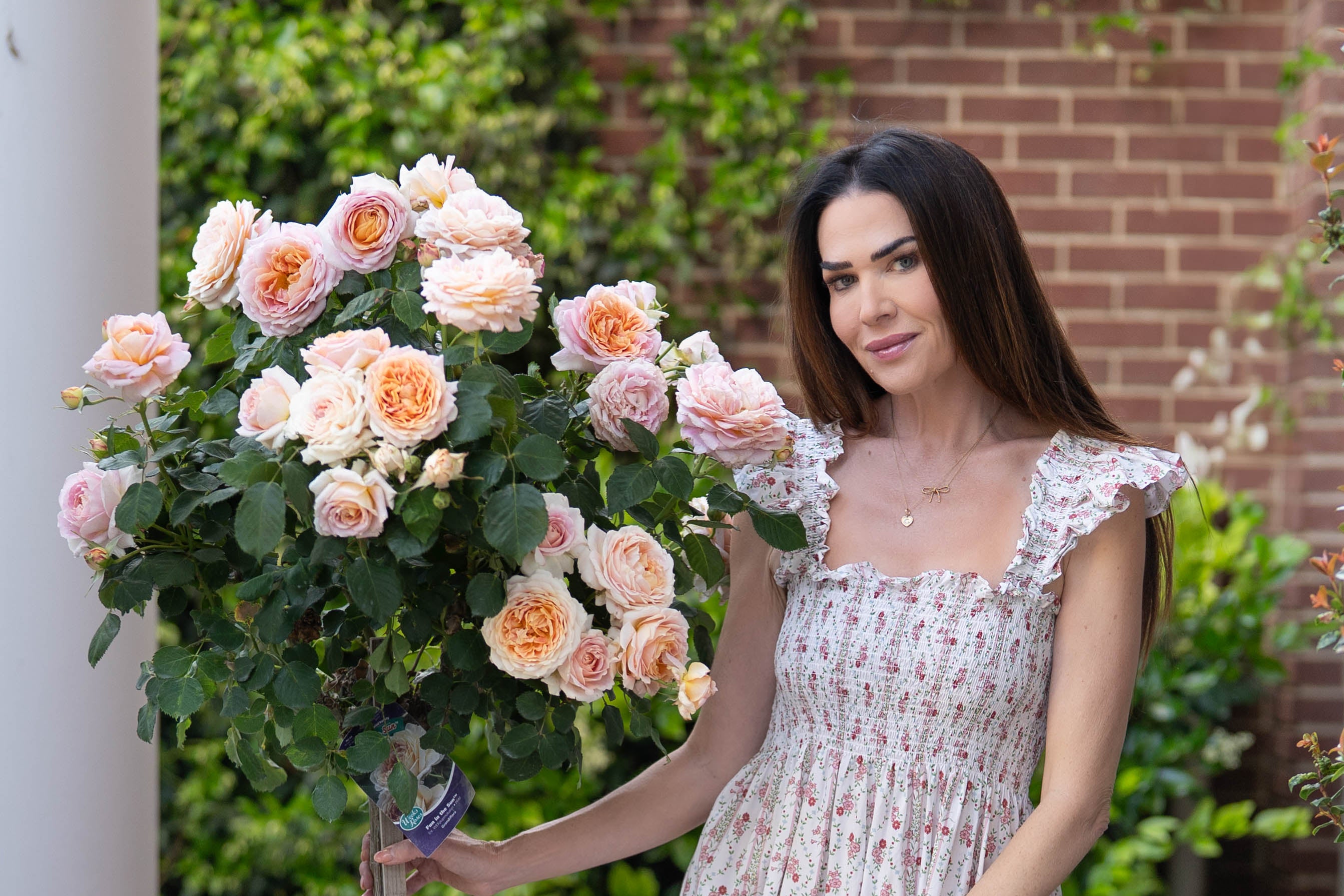 Jenny Garden Roses | Fresh Cut Rose Bouquet | Grace Rose Farm