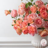 GARDEN ROSES: The Complete Guide to Growing & Arranging Spectacular Blooms *Signed Copy* BOOK