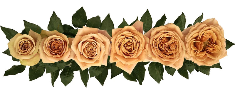 Golden Mustard® Bouquet