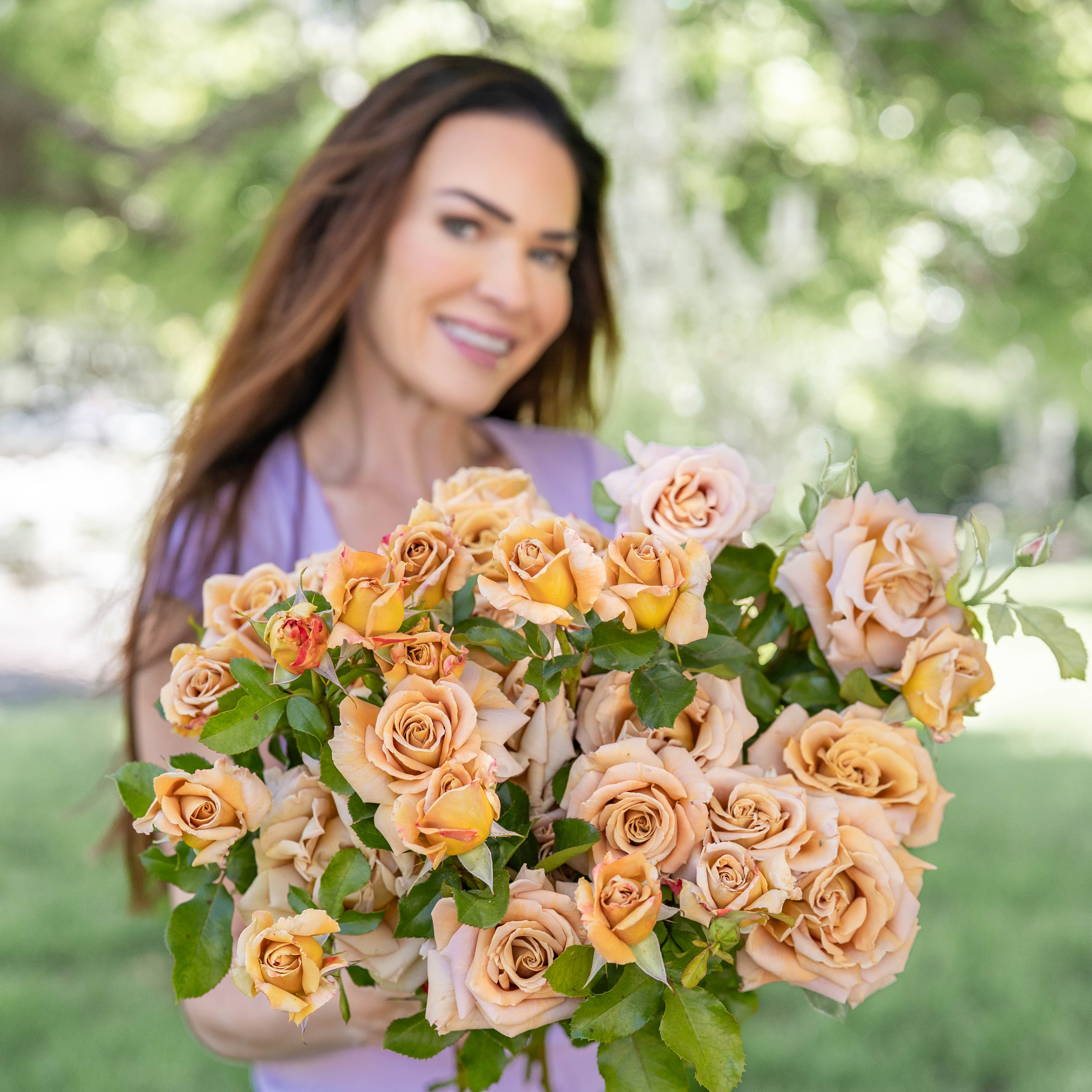 Honey Dijon™ Potted Rose Bush - Grace Rose Farm