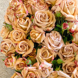 Honey Dijon™ Bare Root Rose Bush