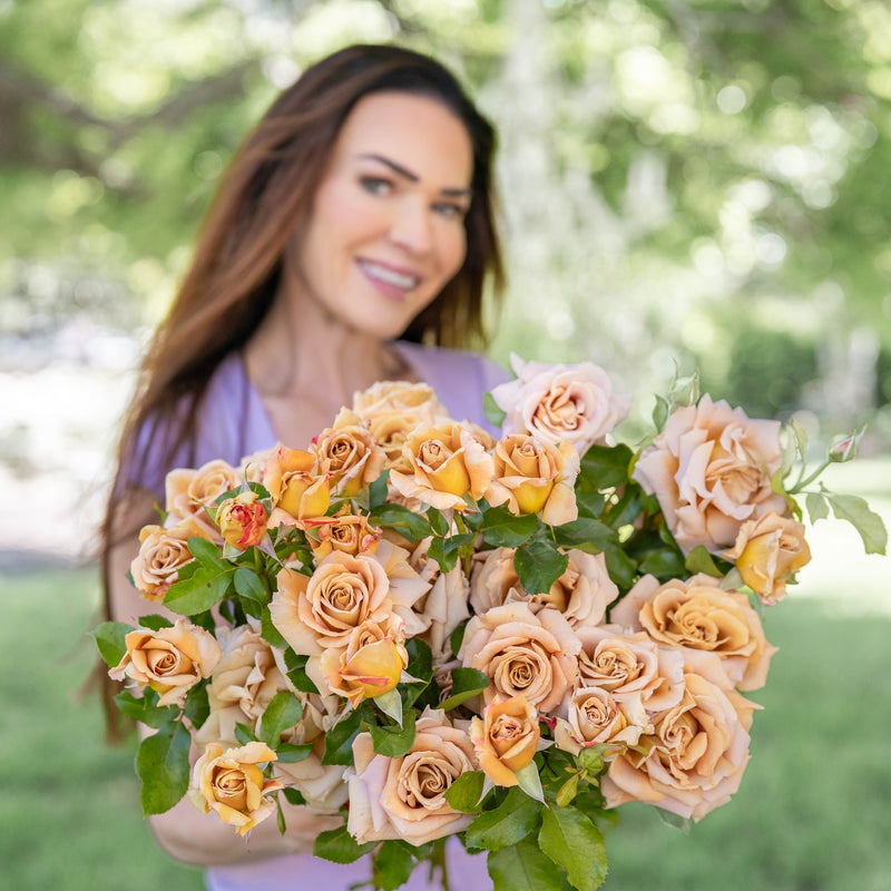 Honey Dijon™ Bare Root Rose Bush