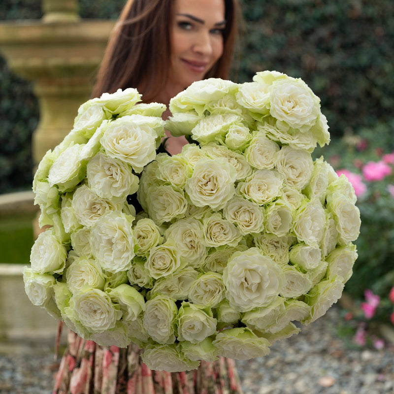 Blanche Spray Rose Stems