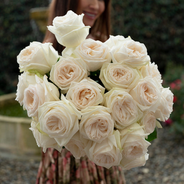 Cream Roses & Elegant Garden Blooms – Grace Rose Farm