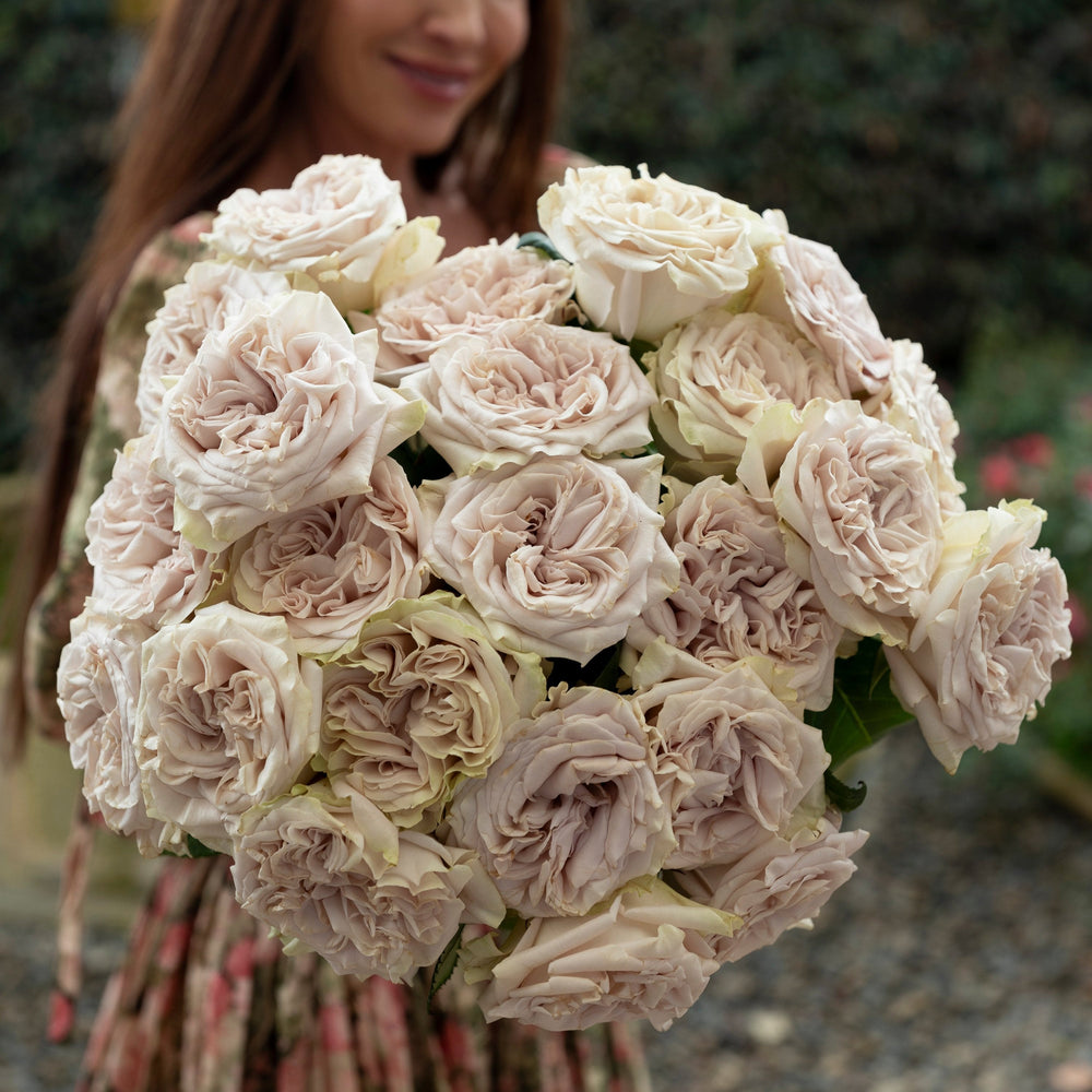 Mauve Roses | Elegant Lavender-Pink Hues | Grace Rose Farm