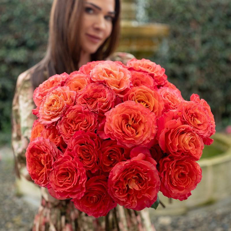 Dancing Sunset Roses Sunset Celebration® Bouquet – Grace Rose Farm