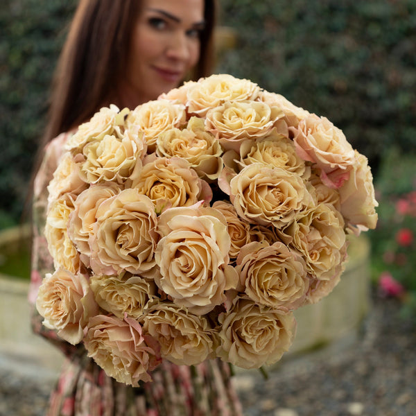 Cream Roses & Elegant Garden Blooms – Grace Rose Farm