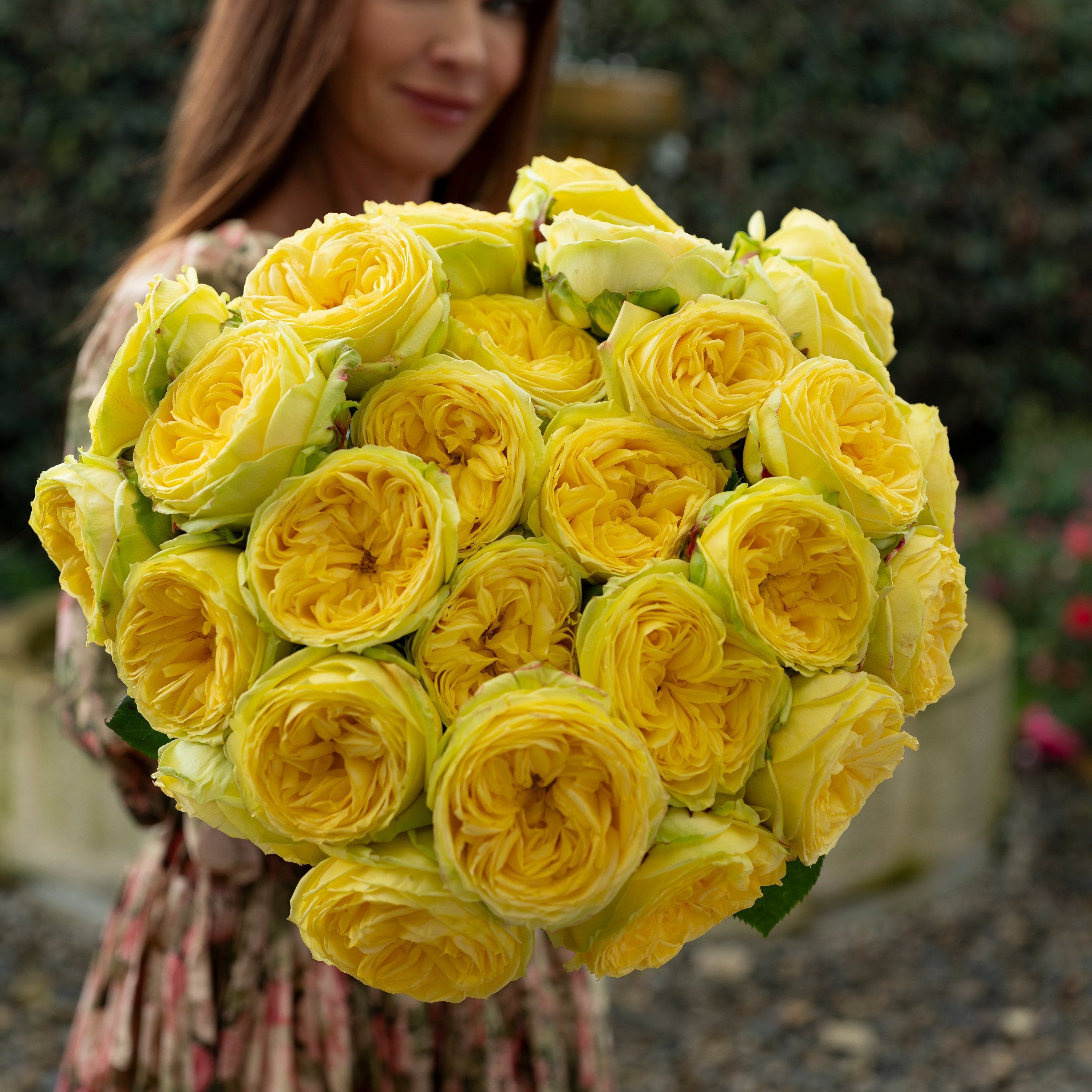 Catalina® Bouquet – Grace Rose Farm
