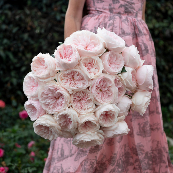 Sabrina® Special Bouquet