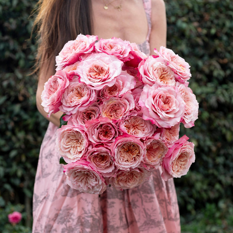 Always in Bloom™ Garden Rose Subscription