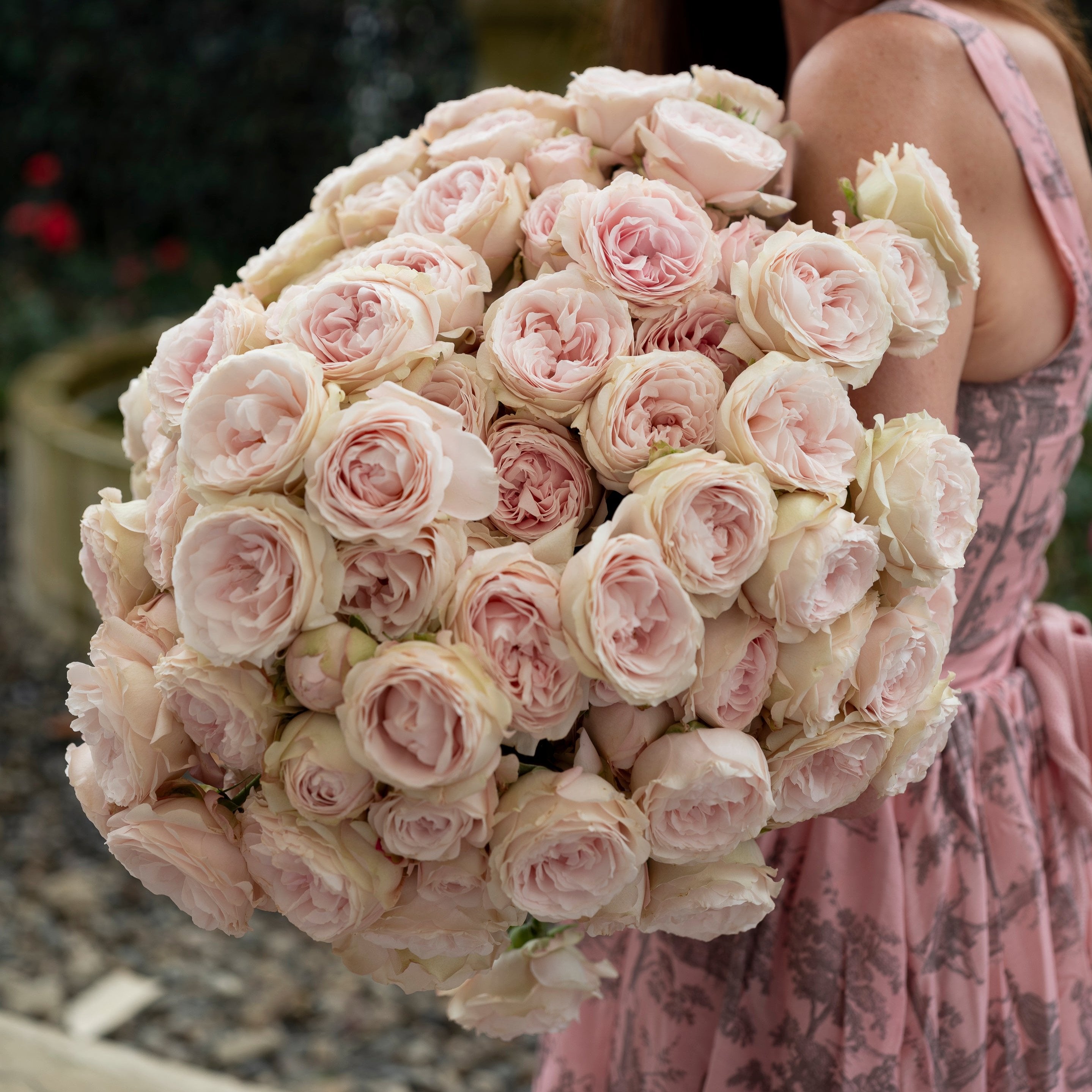 Princess Fairy Kiss® Bouquet – Grace Rose Farm