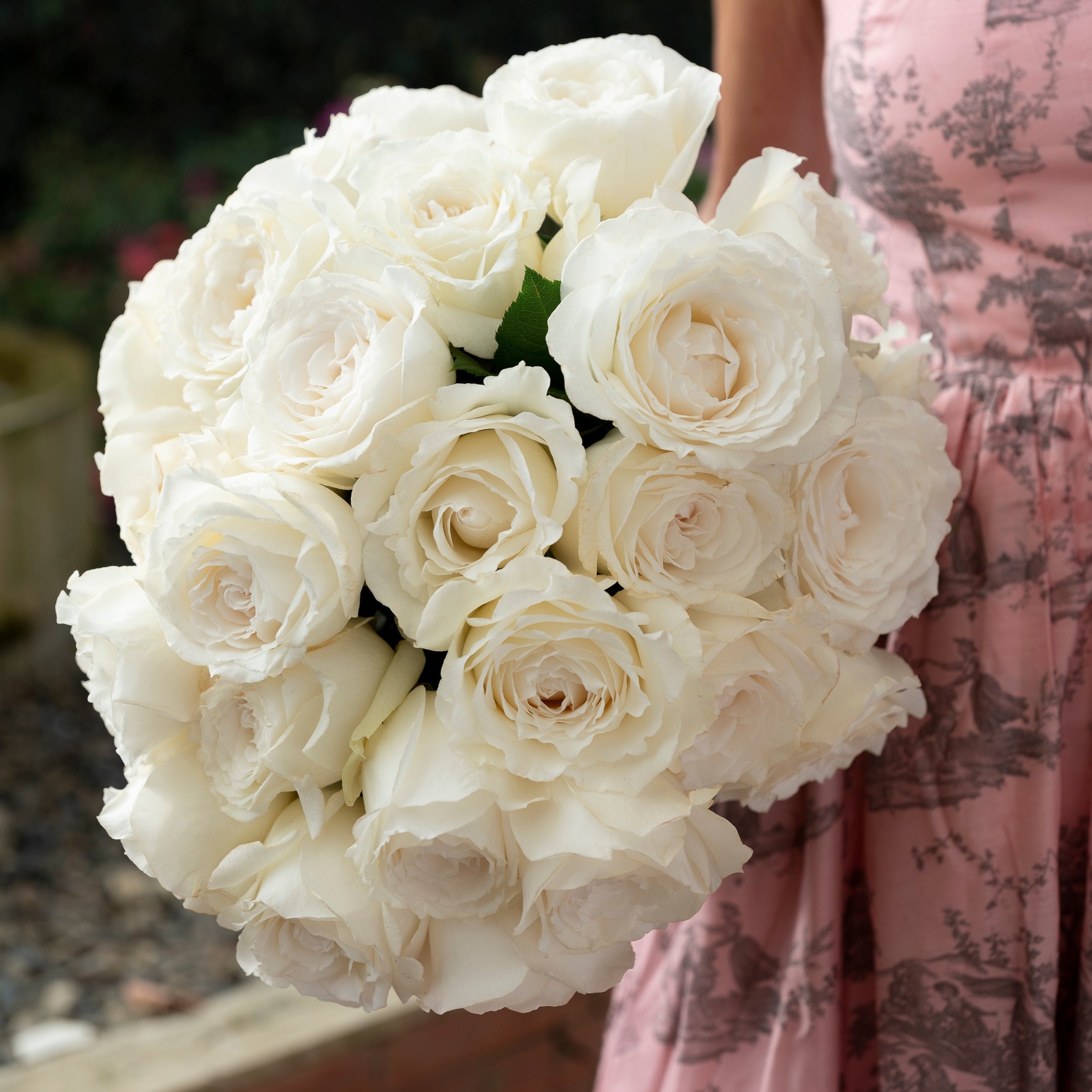 David Austin® Always in Bloom™ Subscription