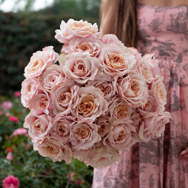 Grace Rose Farm