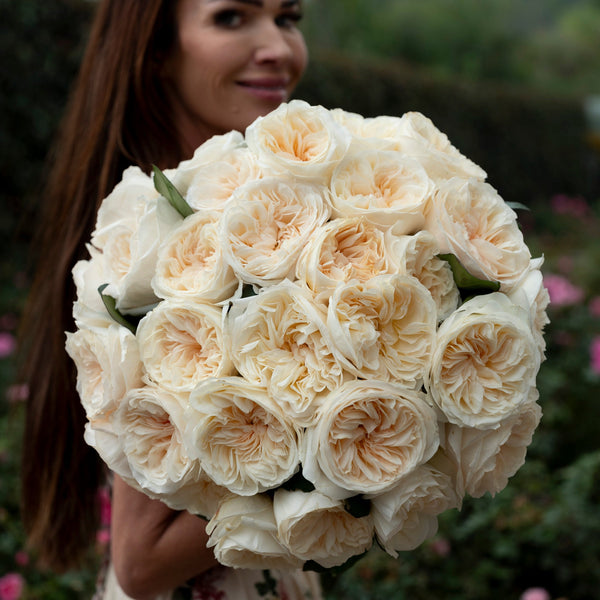 Cream Roses & Elegant Garden Blooms – Grace Rose Farm