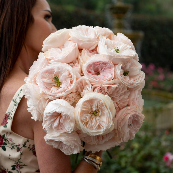 Our Roses – Grace Rose Farm