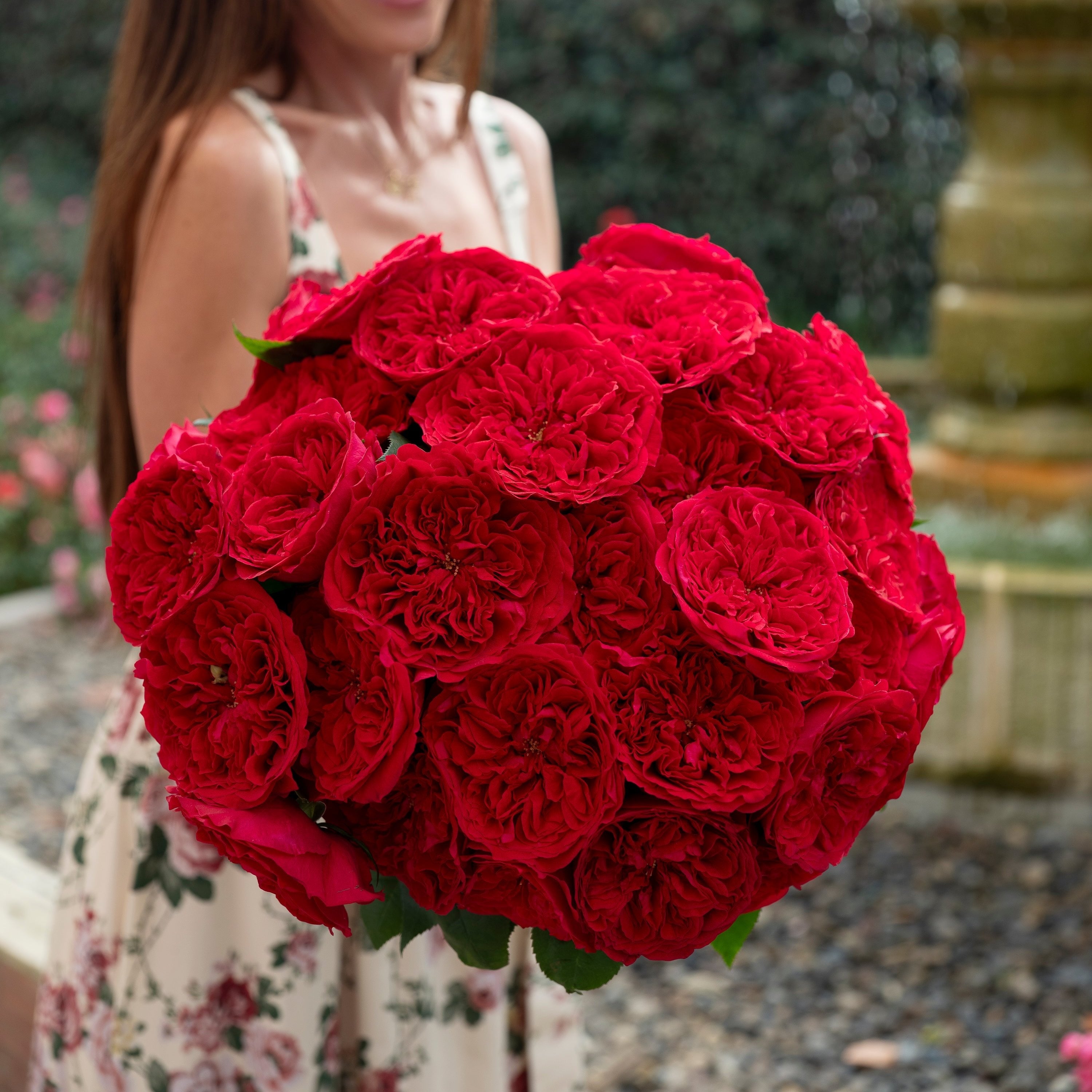 Tess Bouquet | Red David Austin Rose Bouquet | Grace Rose Farm