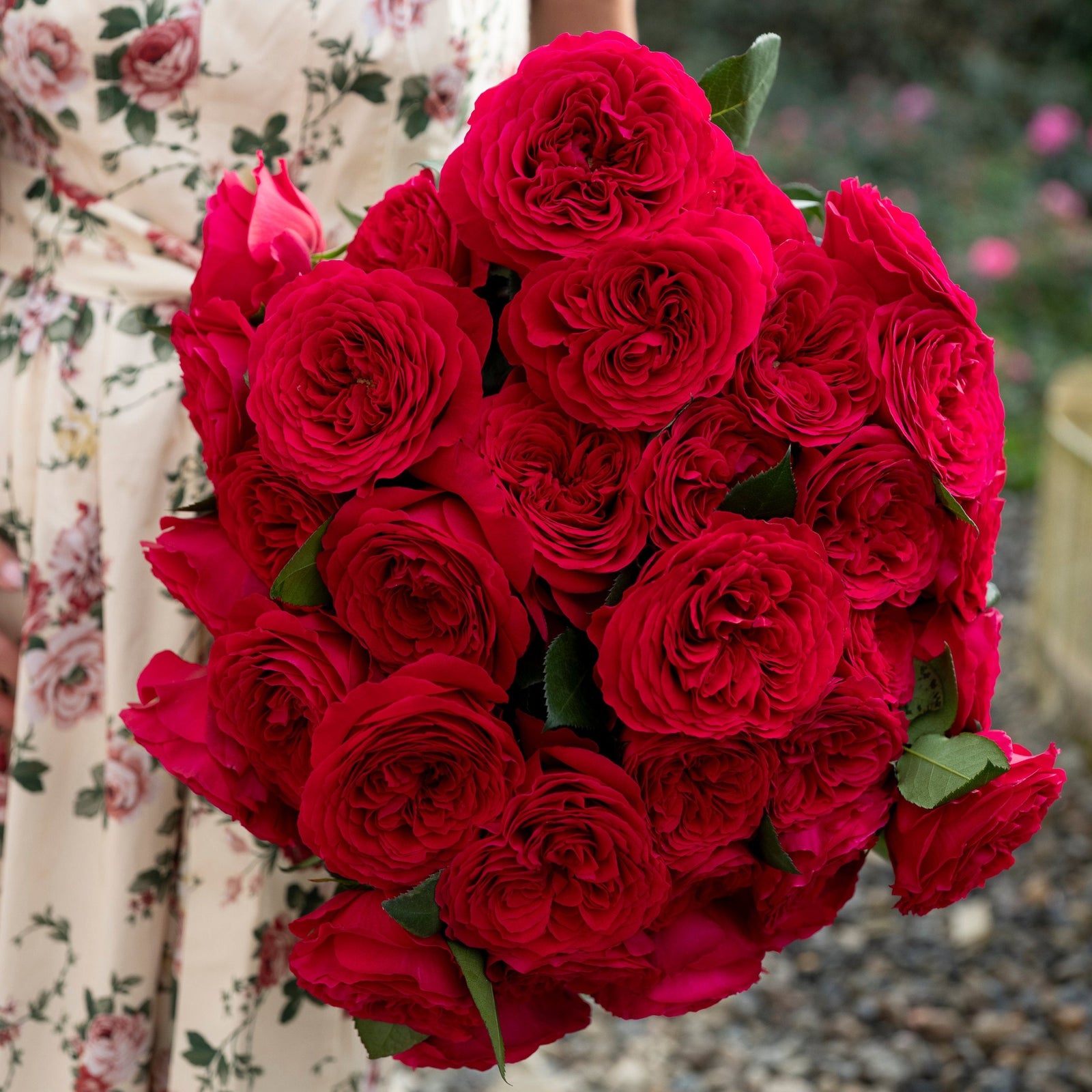 David Austin® Hettie™ Bouquet - Grace Rose Farm