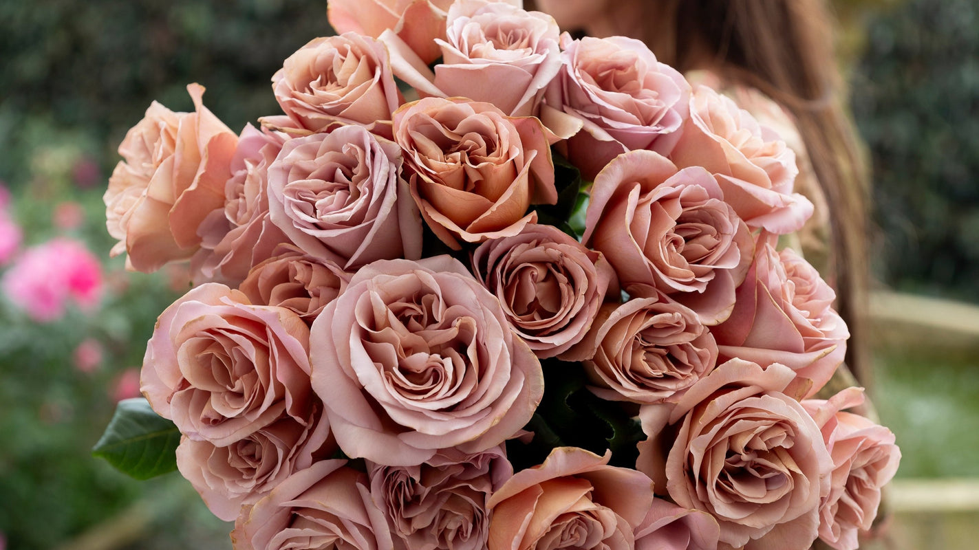 Autumn Collection – Grace Rose Farm