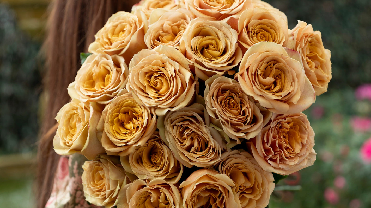 Autumn Collection – Grace Rose Farm