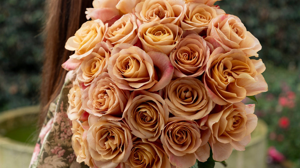 Autumn Collection – Grace Rose Farm