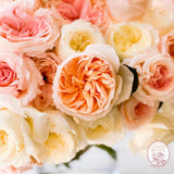 Jody Bouquet CUTS