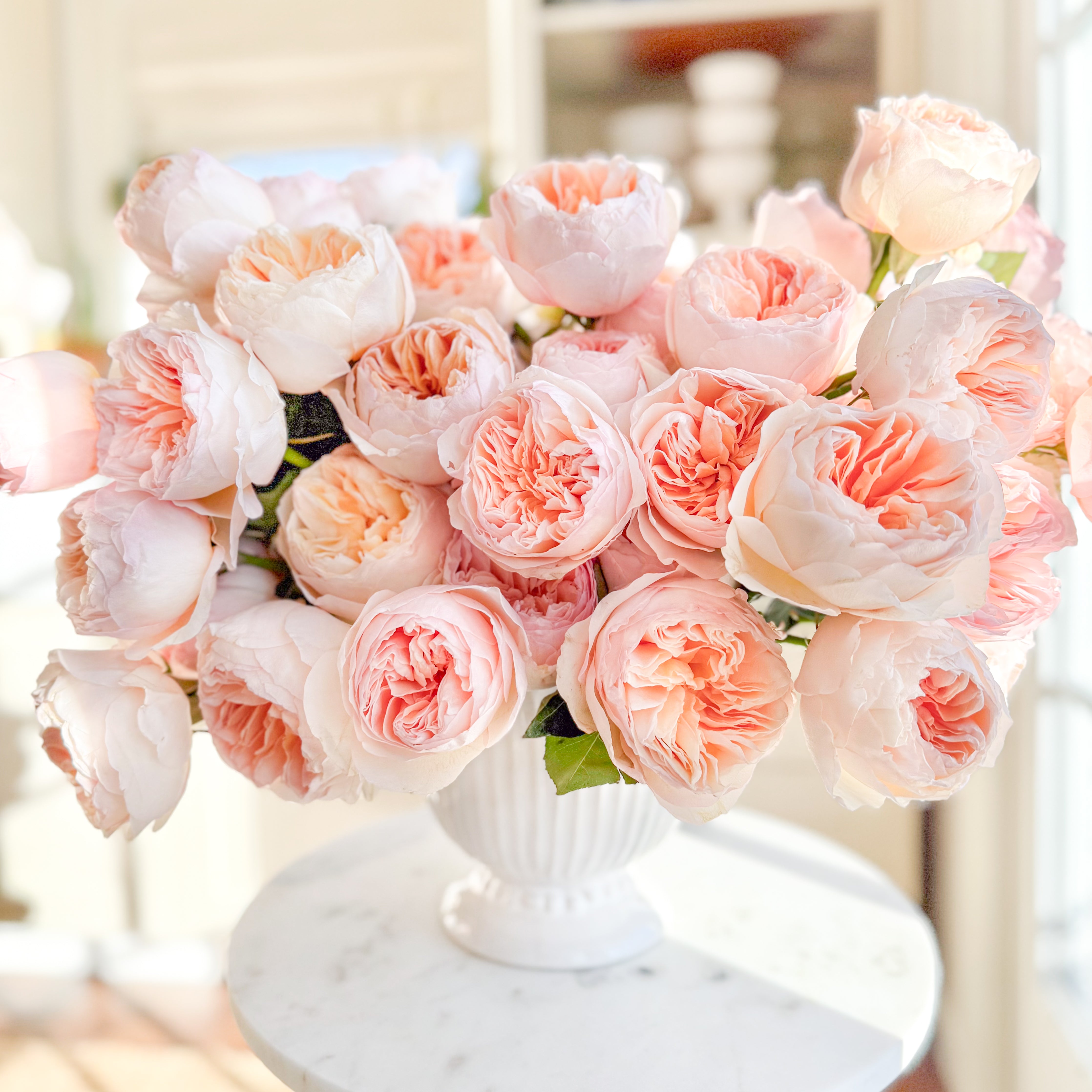 David Austin® Juliet™ Valentine's Day Bouquet