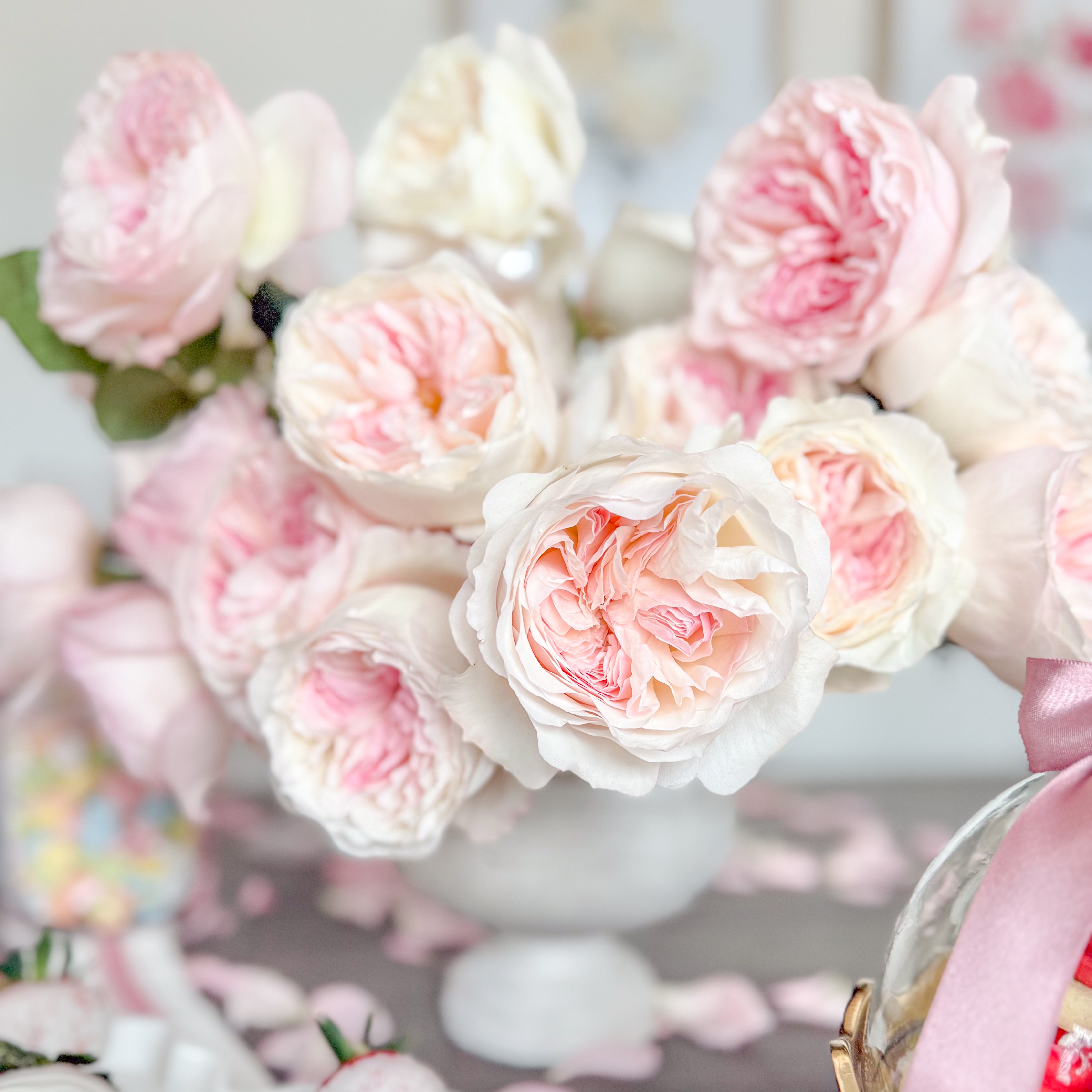 Keira Garden Roses | David Austin Cut Roses | Grace Rose Farm