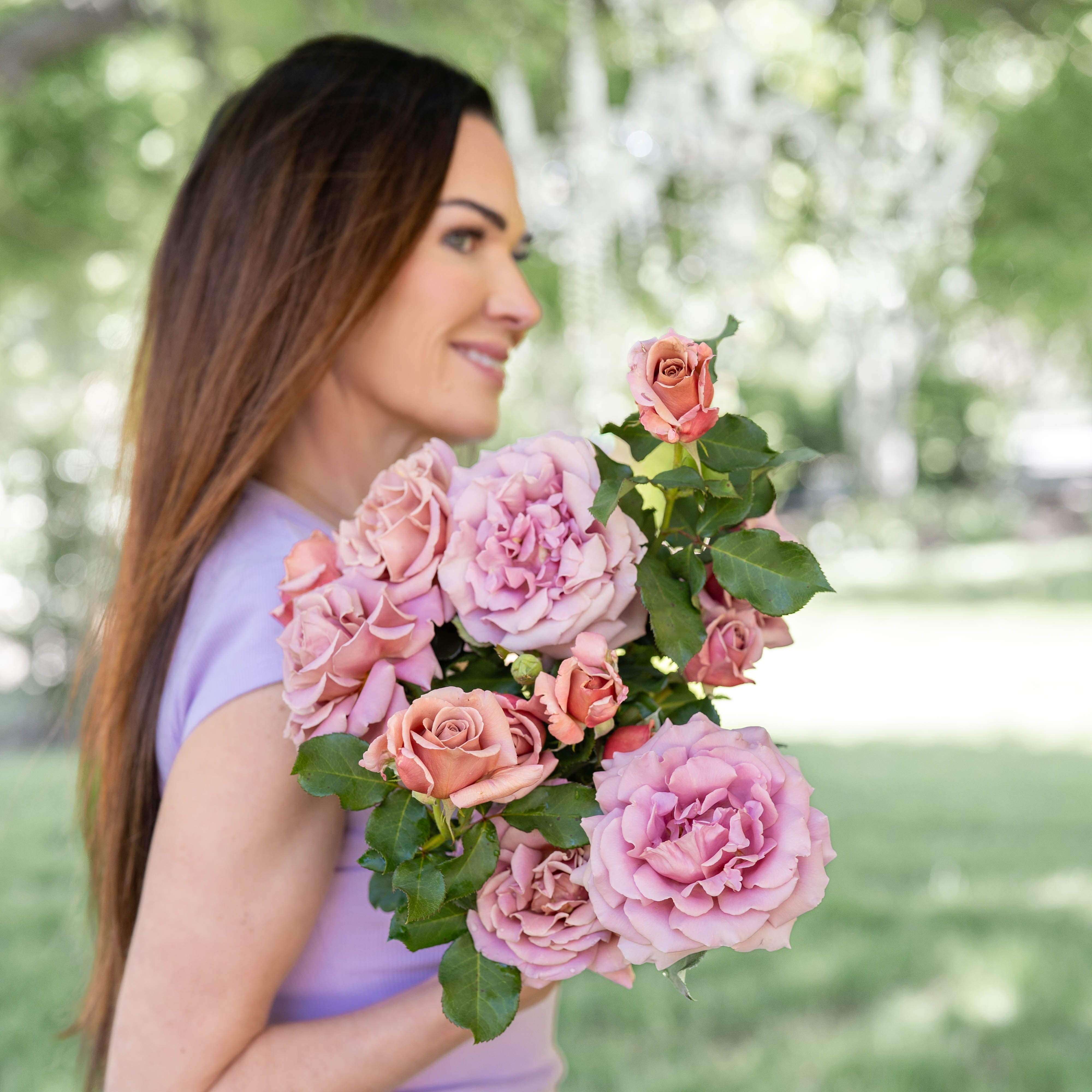 Koko Loko Tree Rose | Mocha Lavender Tree Rose | Grace Rose Farm